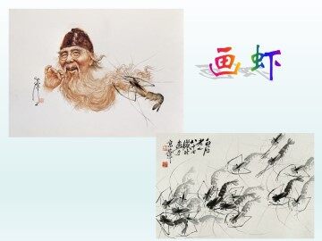 画虾_课件3