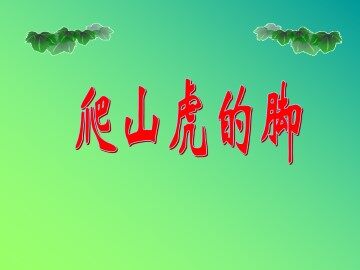 爬山虎的脚_课件3