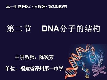 DNA分子结构(陈颖芳)