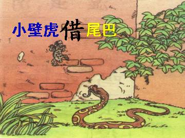小壁虎借尾巴_课件1