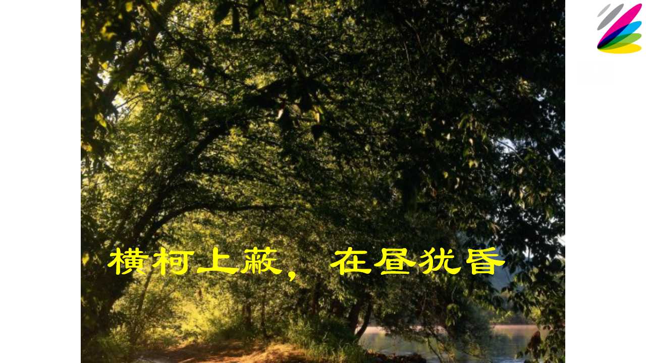 21.jpg