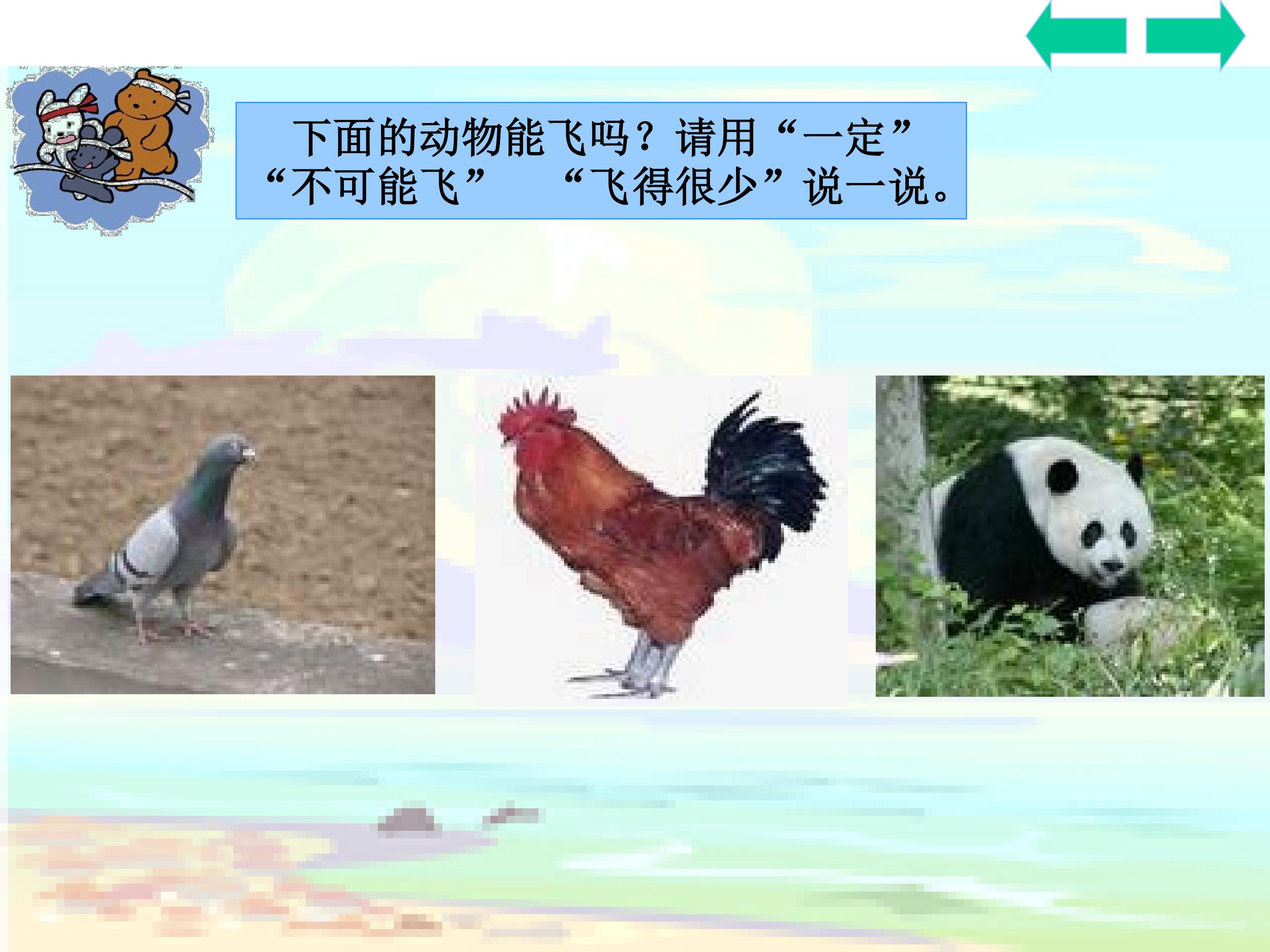 18.jpg