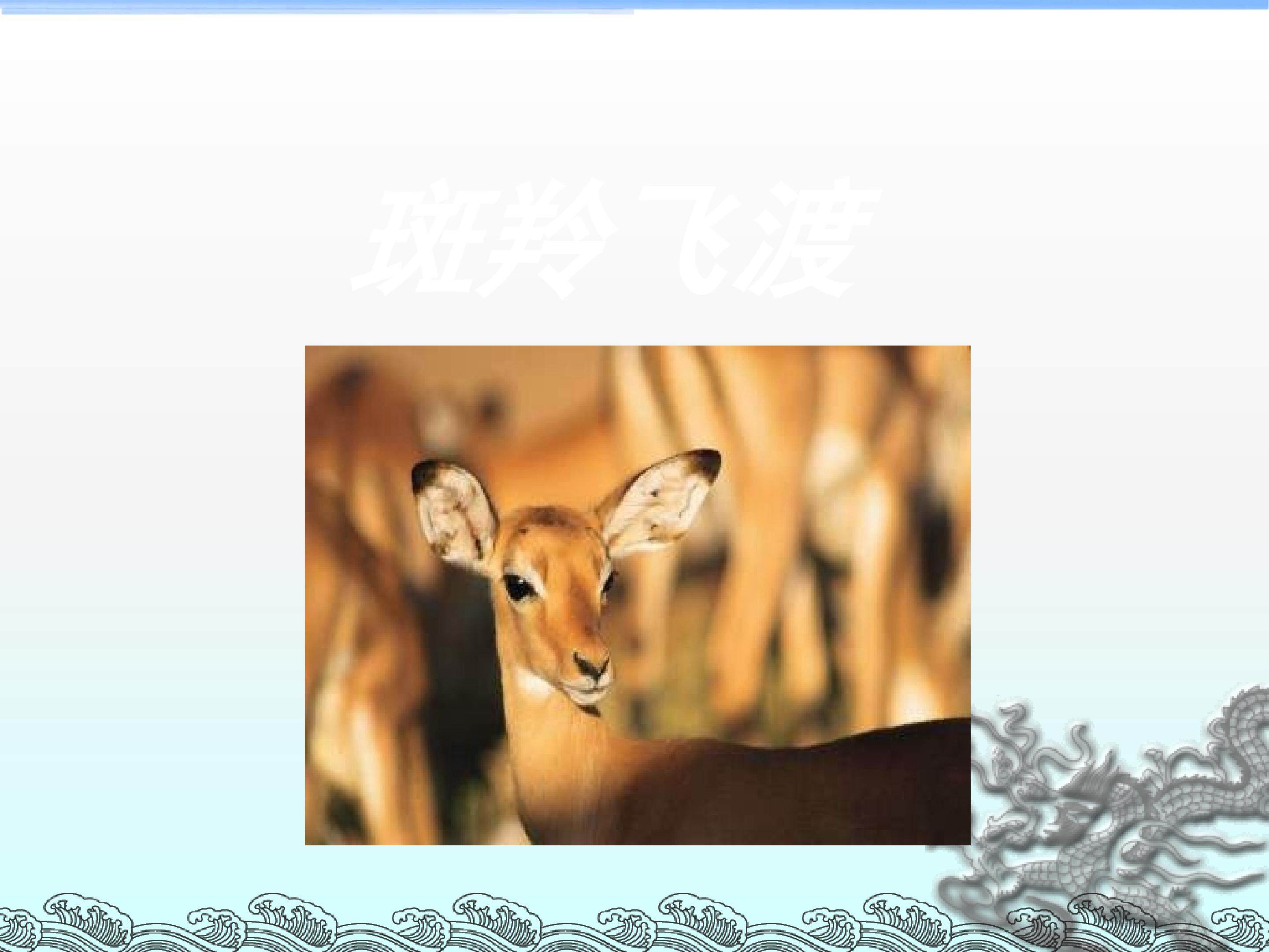 斑羚飞渡_课件12