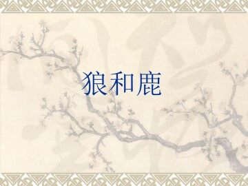 狼和鹿_课件1