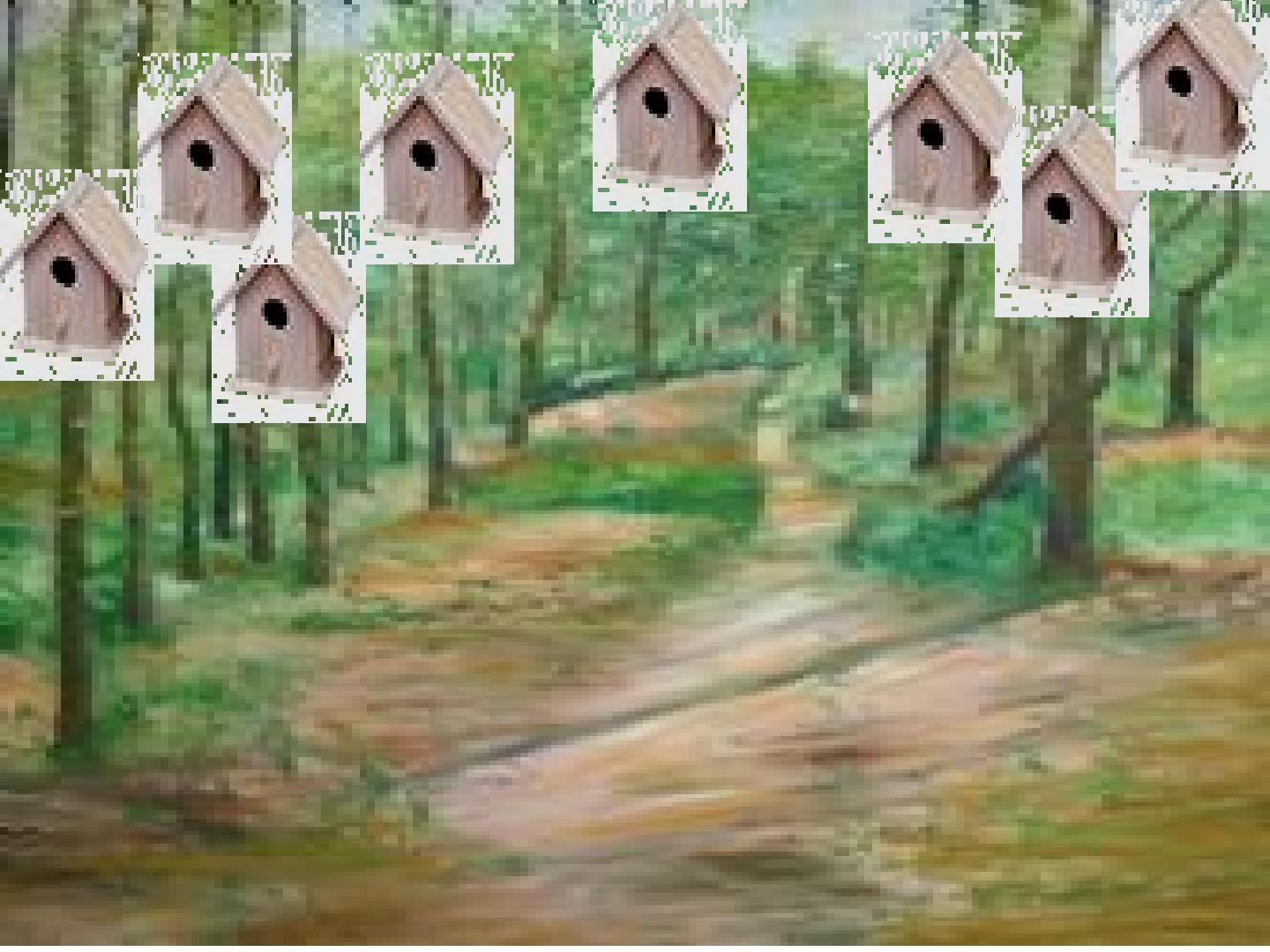 25.jpg