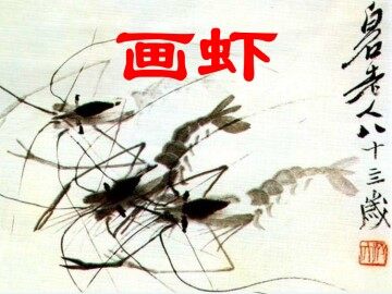 画虾_课件4