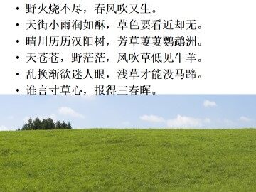 草_课件6