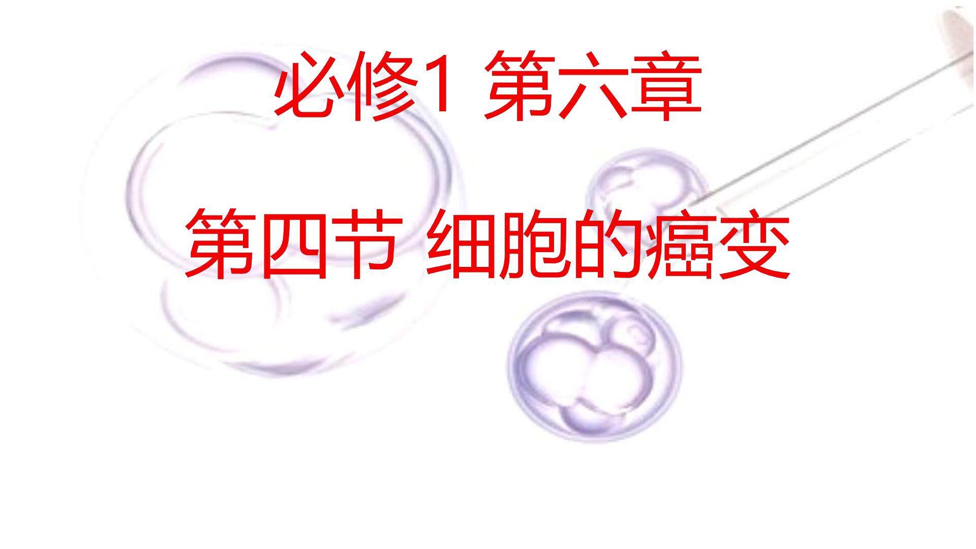与生物有关的职业  医院里的检验师