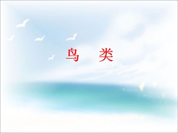 鸟类_课件1