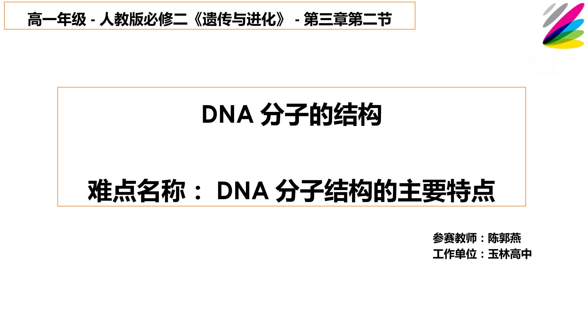 DNA的分子结构