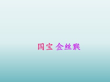 国宝金丝猴_课件1