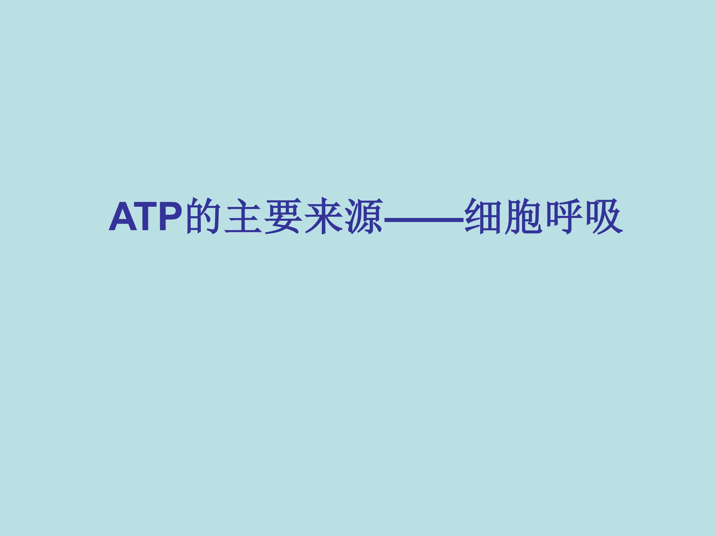 ATP的主要来源——细胞呼吸_课件1