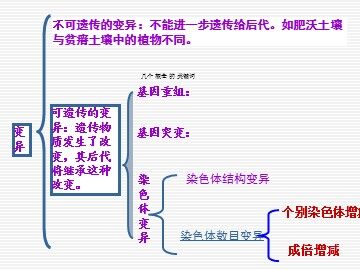 生物高中必修2第五章第二节染色体变异