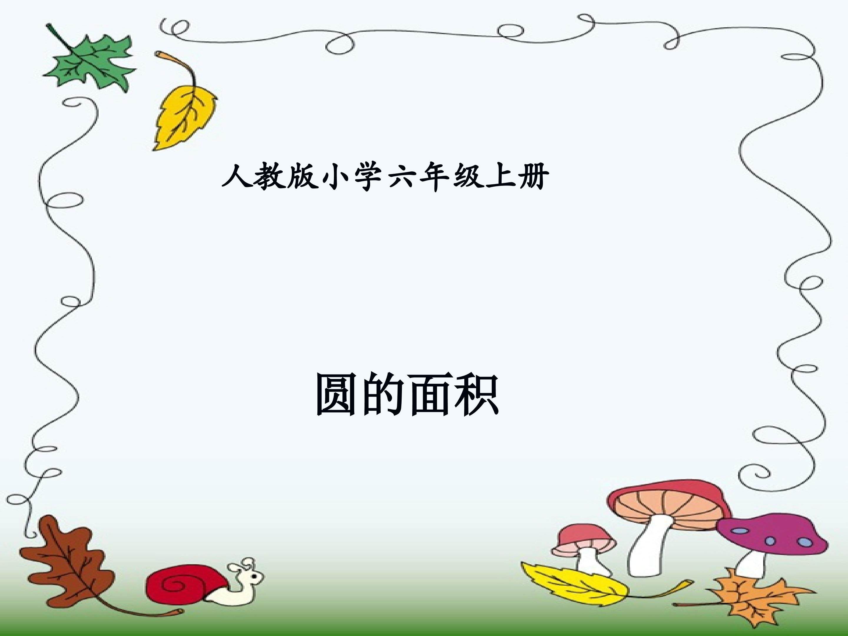圆的面积