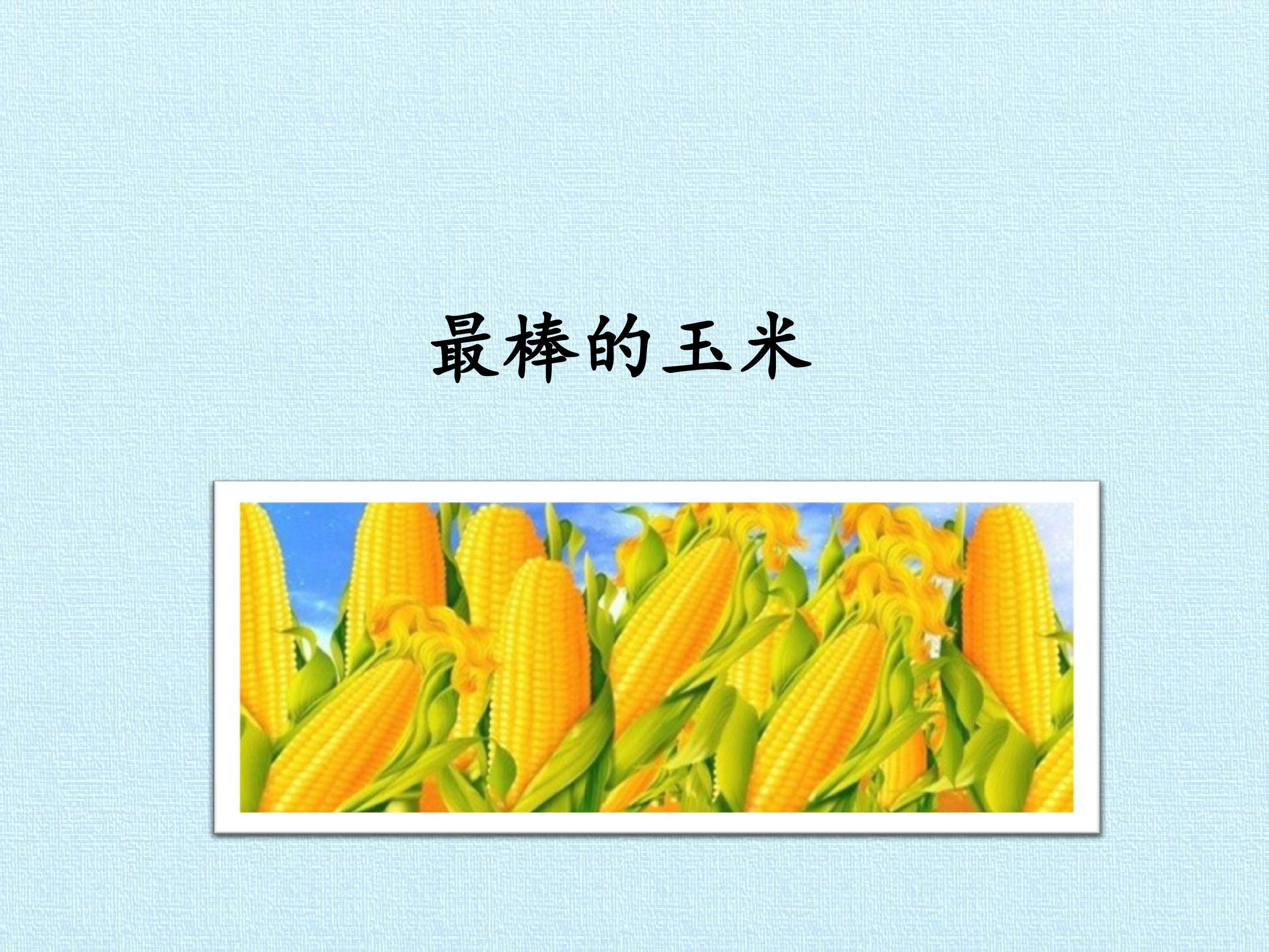 最棒的玉米