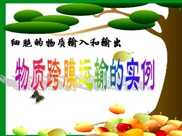 生物高中必修1第四章第一节课件2