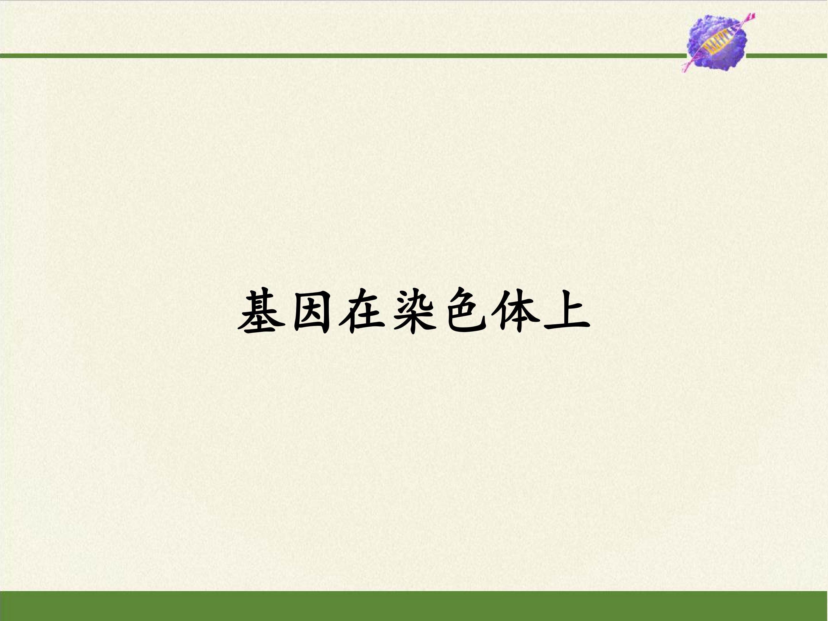 基因在染色体上