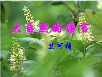 大自然的语言_课件1