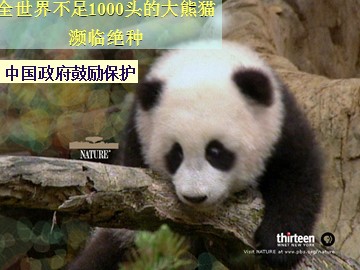 生物高中必修3第四章第一节课件2