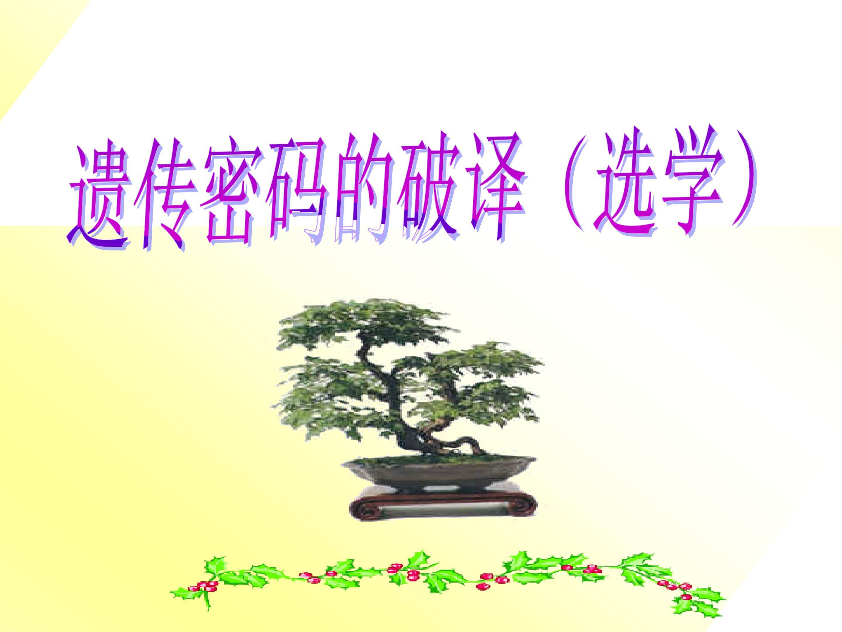 遗传密码的破译（选学）_课件1