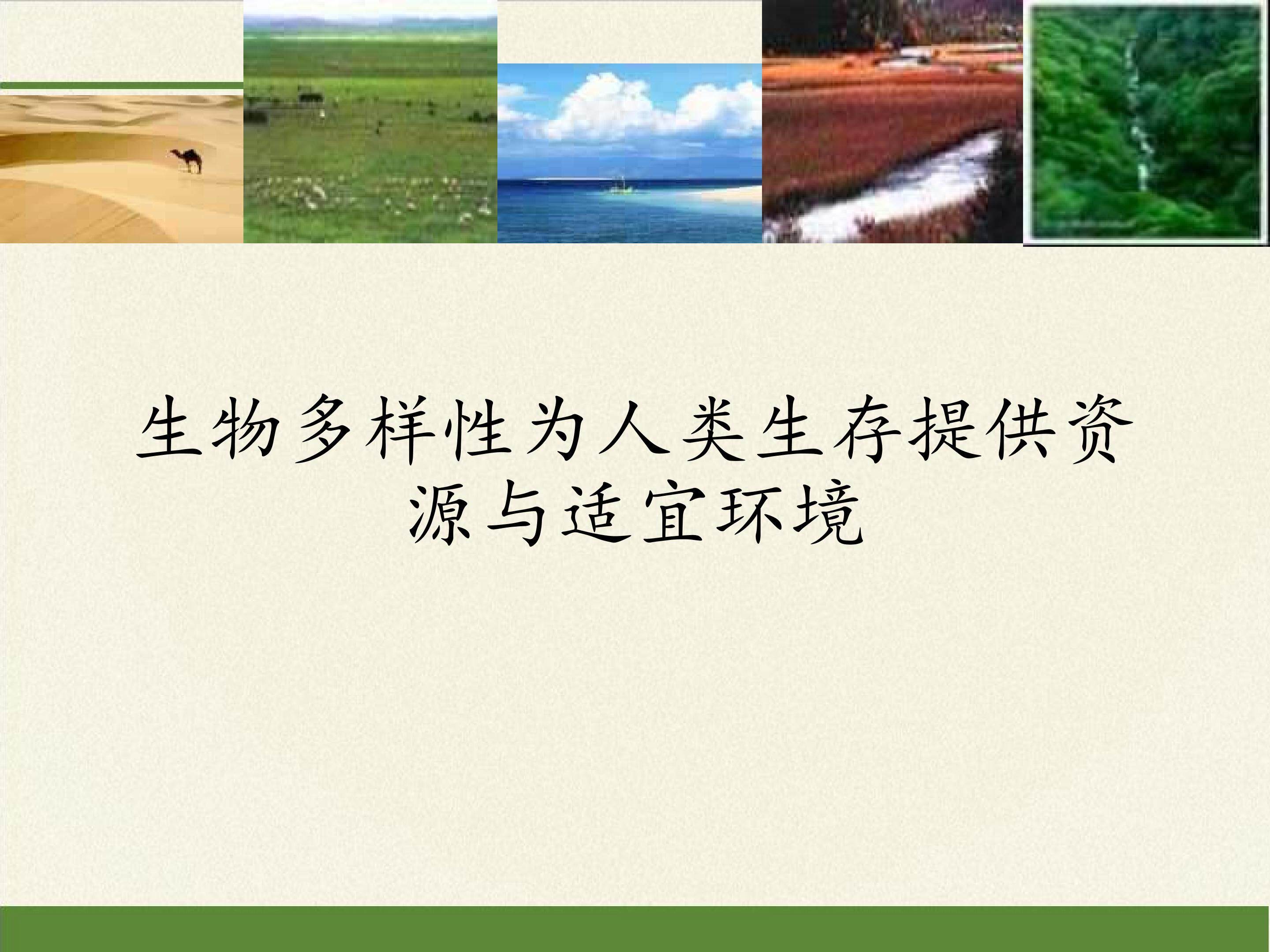 生物多样性为人类生存提供资源与适宜环境