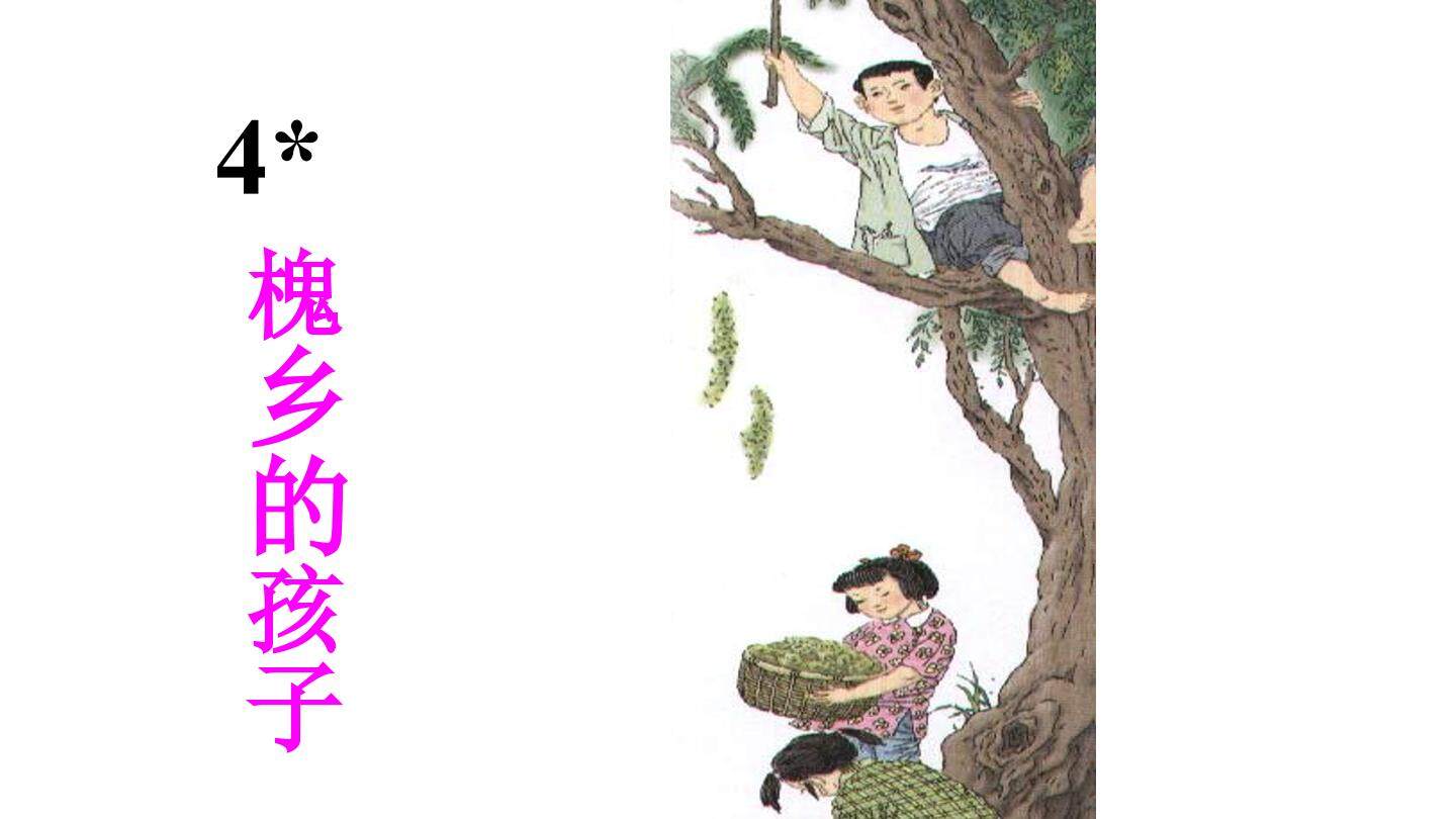 4-《槐乡的孩子》ppt课件