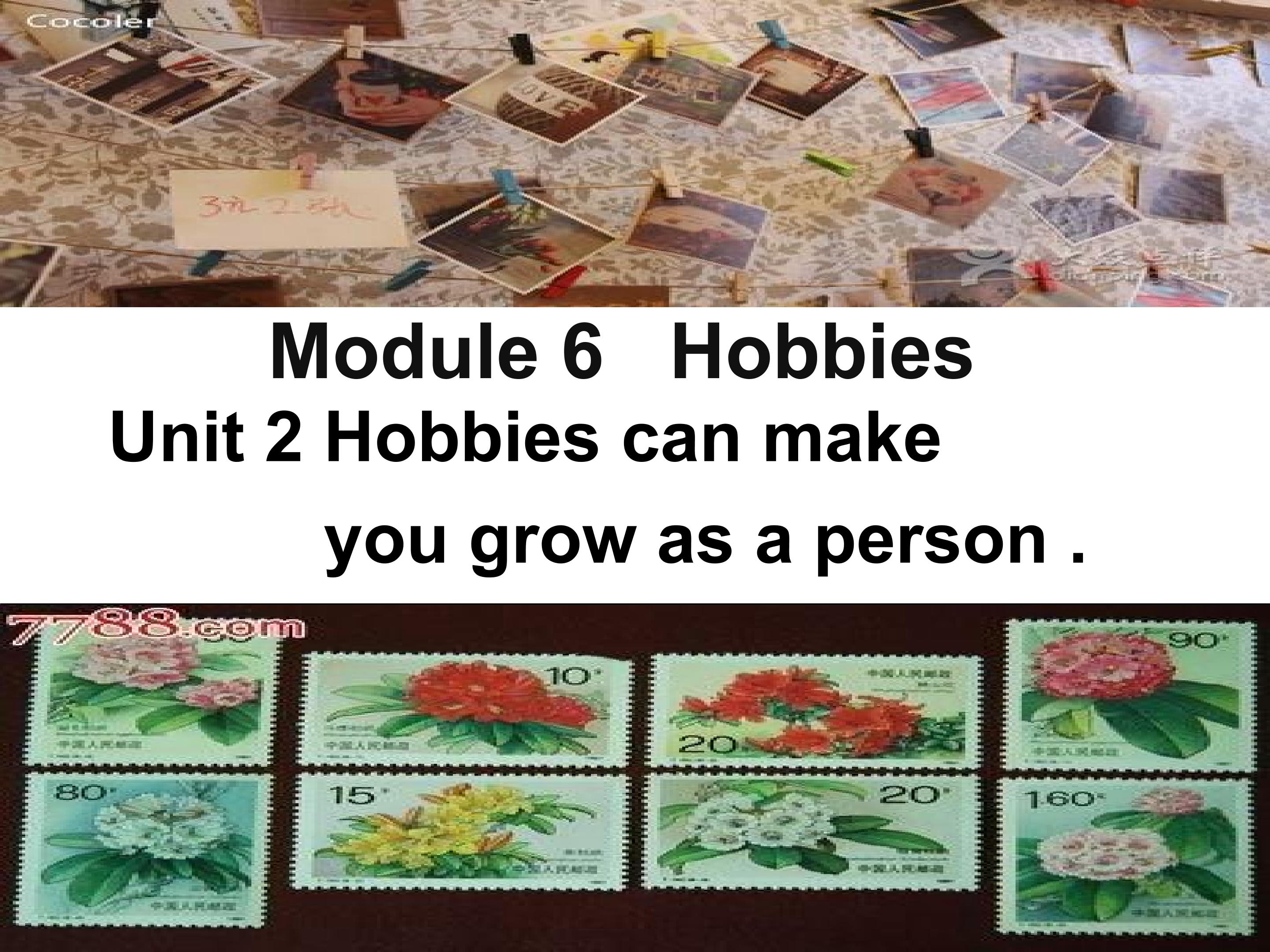 《Model 6 Unit 2 My hobby》