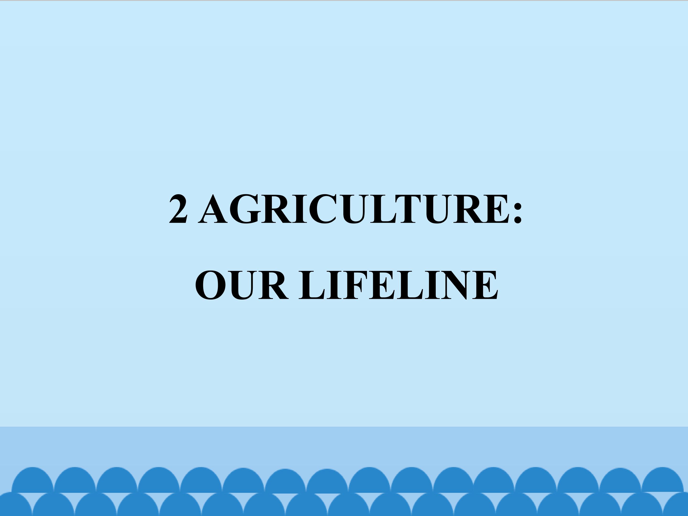 2  AGRICULTURE：OUR LIFELINE_课件1