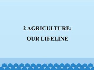 2  AGRICULTURE:OUR LIFELINE_课件1