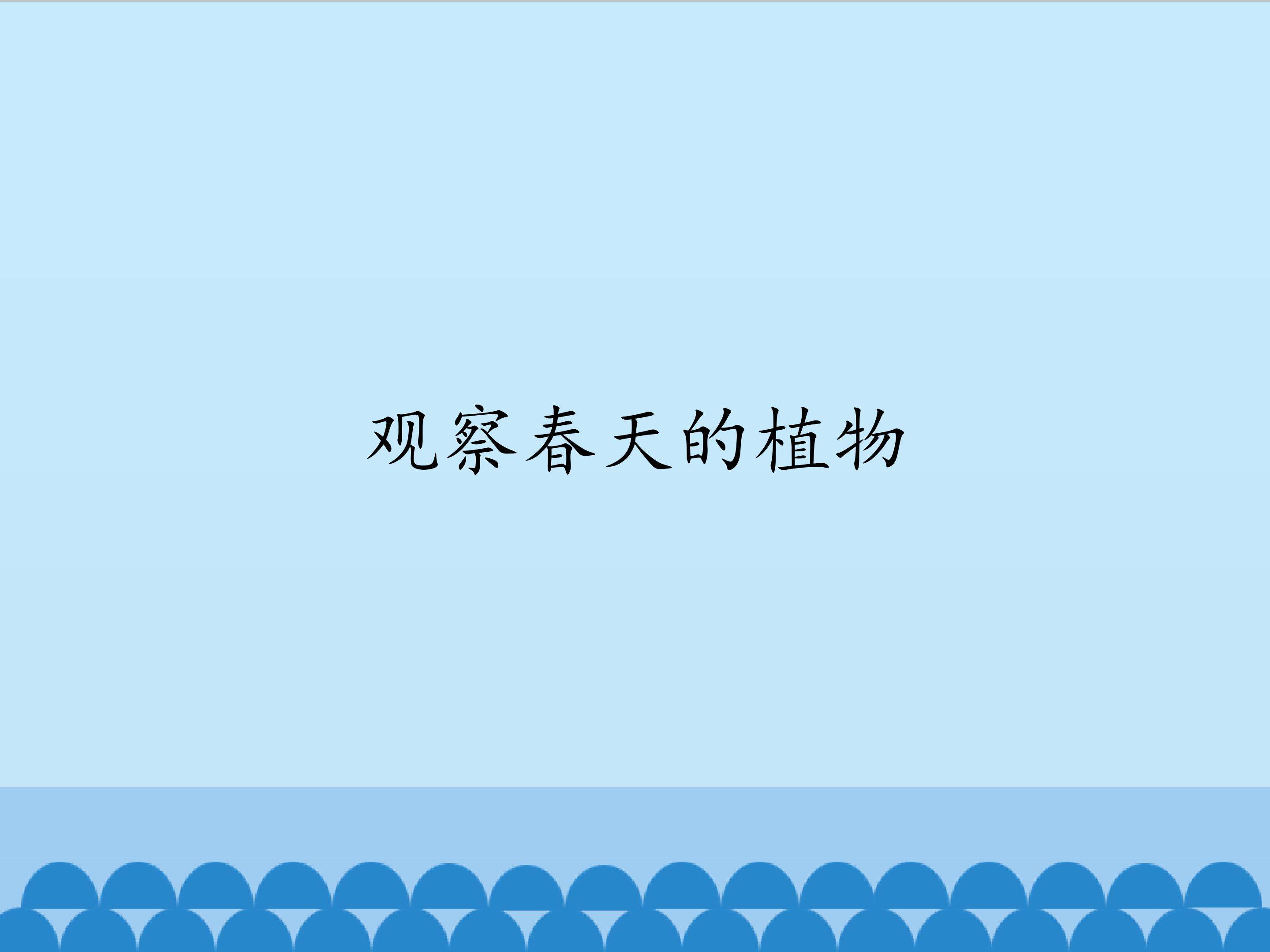 观察春天的植物