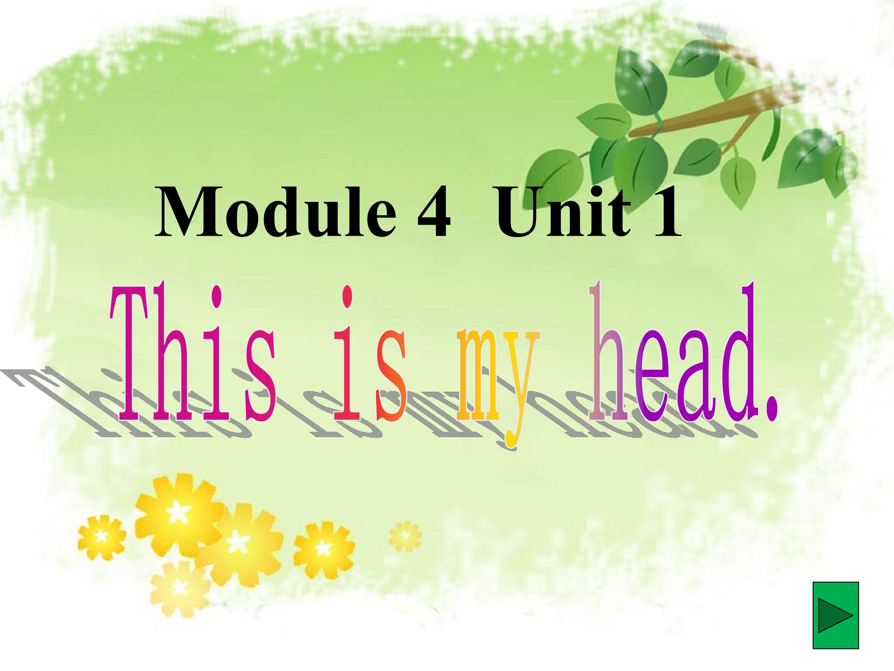 《moudle 4 This is my head》