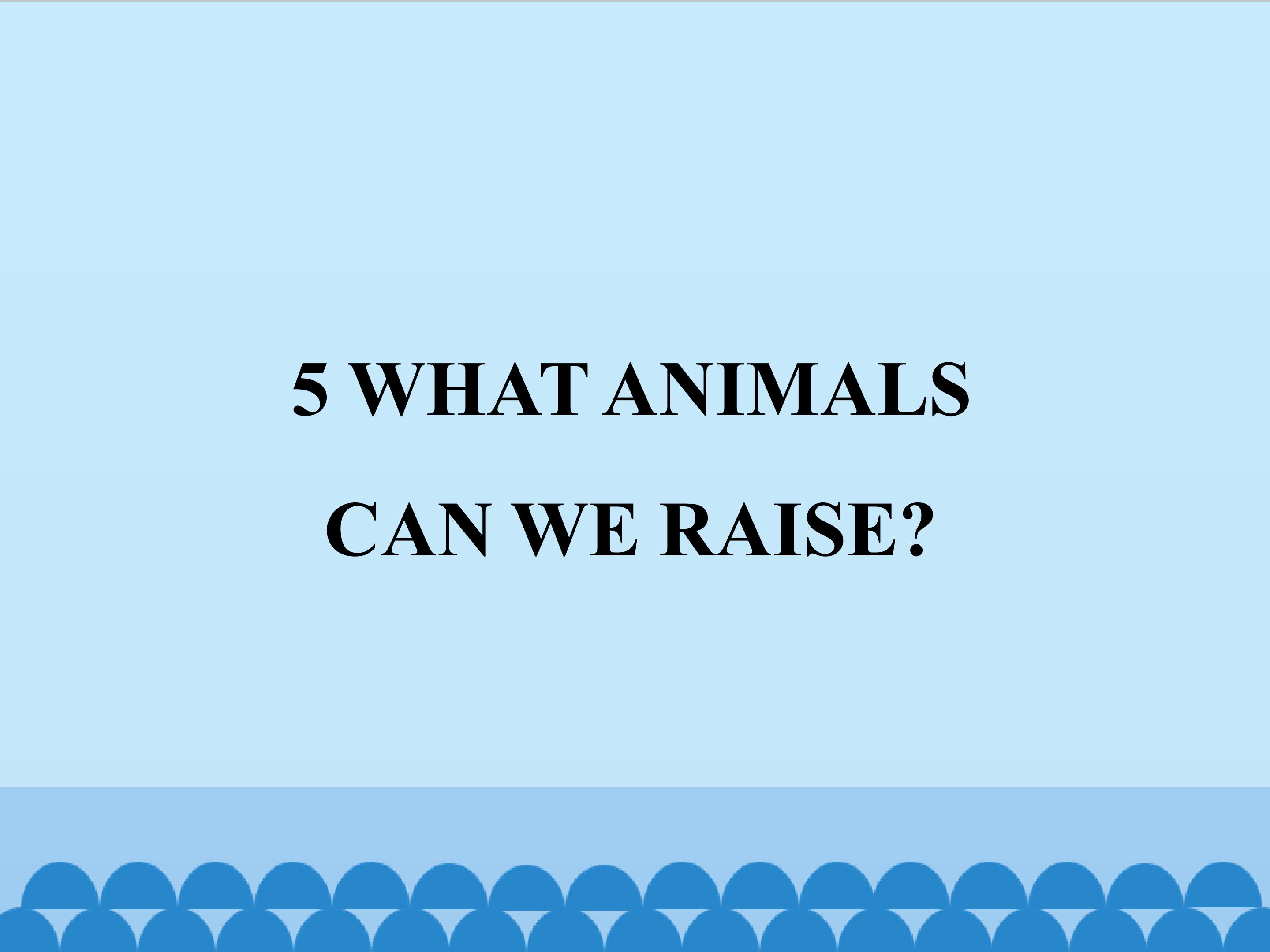 5  WHAT ANIMALS CAN WE RAISE?_课件1