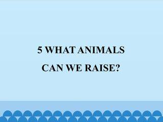 5  WHAT ANIMALS CAN WE RAISE?_课件1