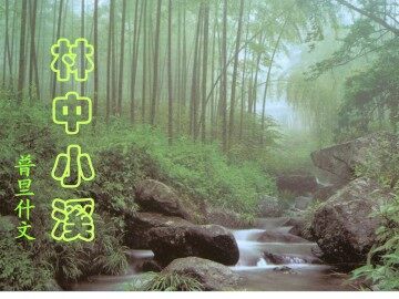 林中小溪_课件4