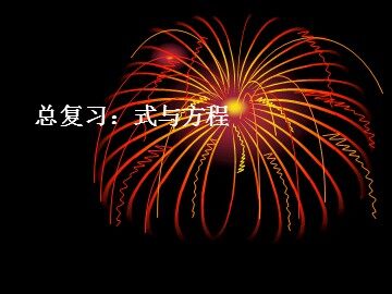 《式与方程》课件2