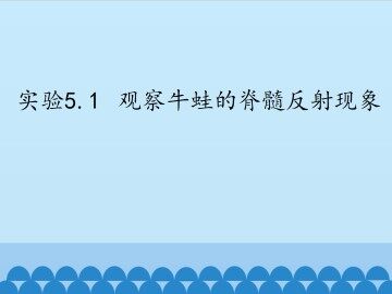 实验5.1  观察牛蛙的脊髓反射现象_课件1
