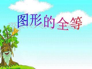 图形的全等_课件1