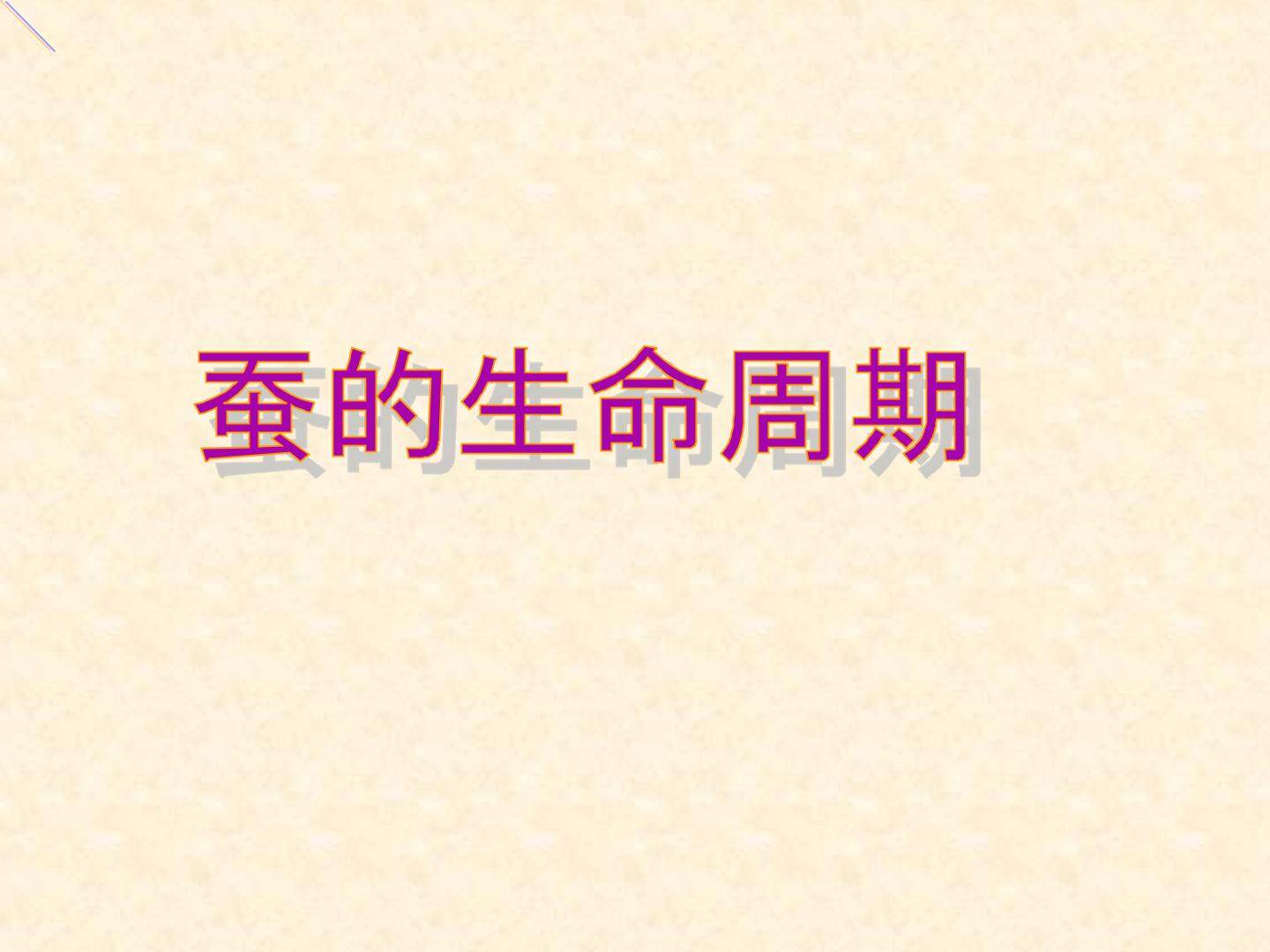 蚕的生命周期_课件1