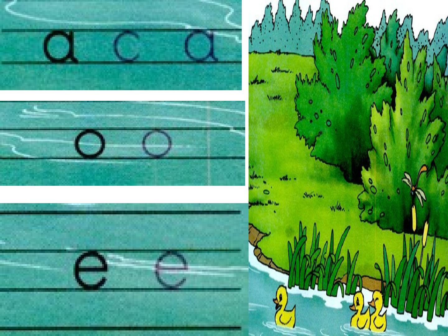 32.jpg
