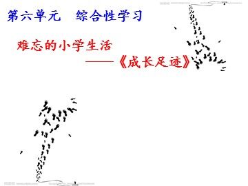 成长足迹