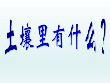土壤中有什么_课件1