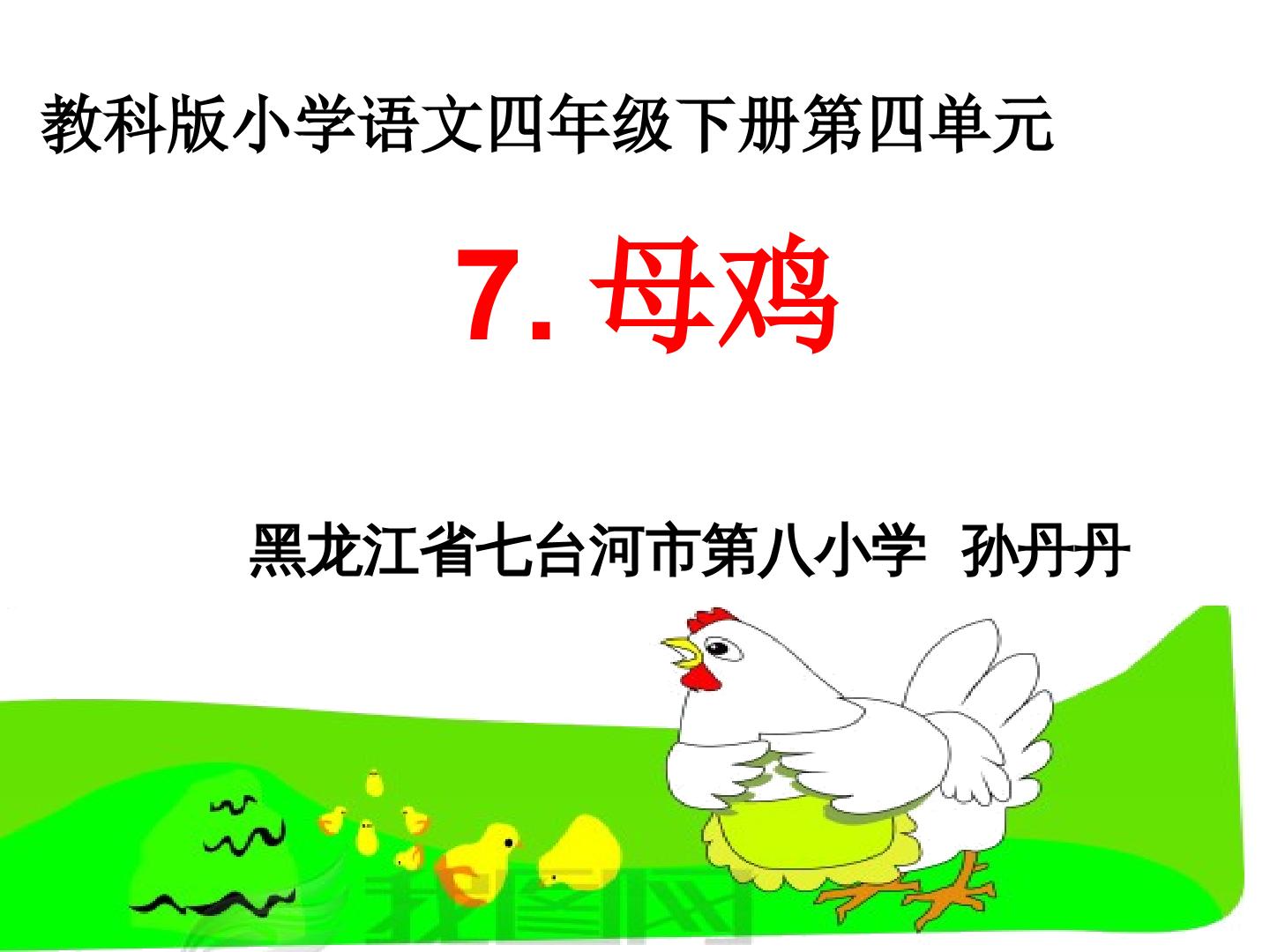 7 母鸡