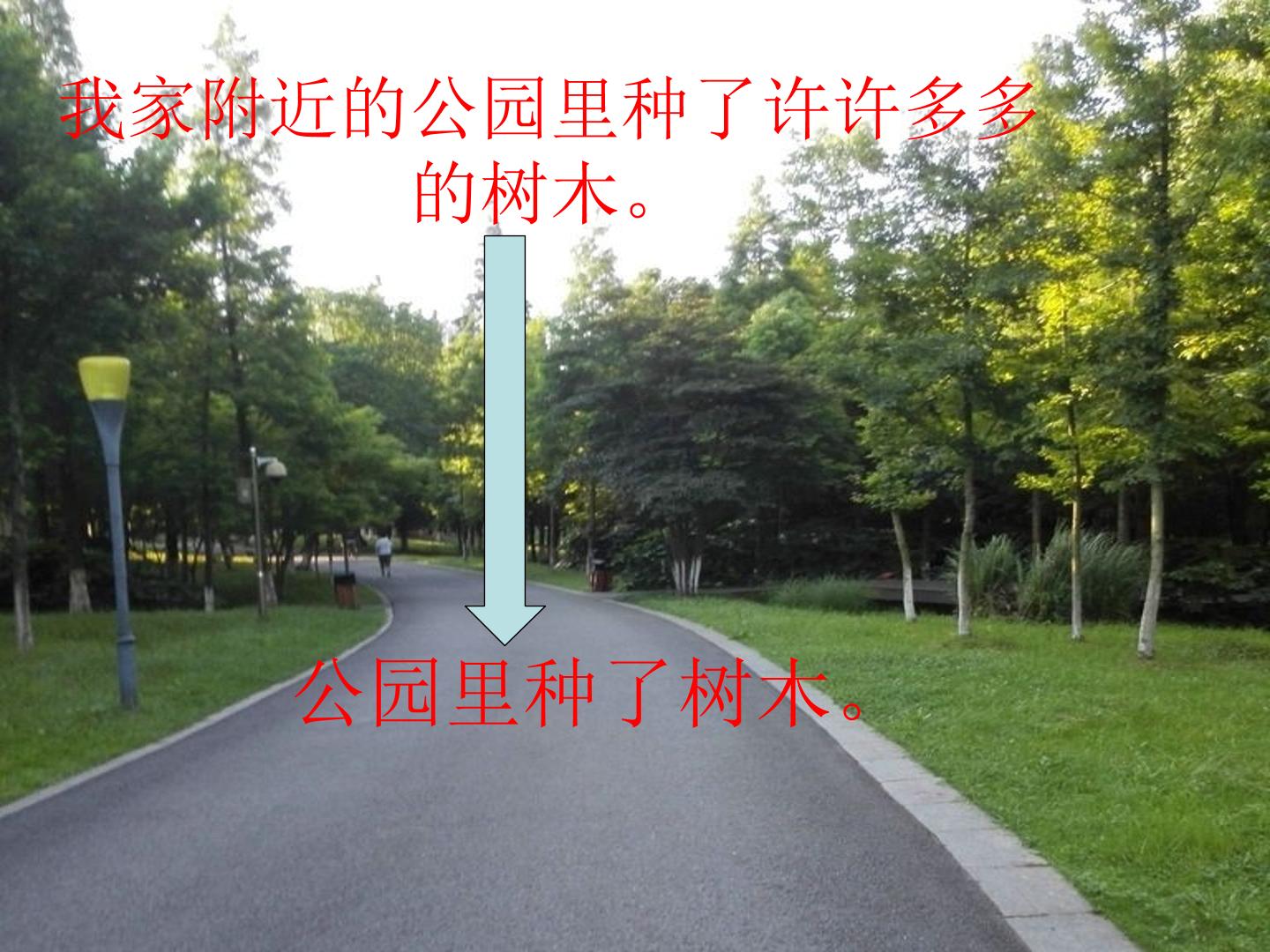 14.jpg