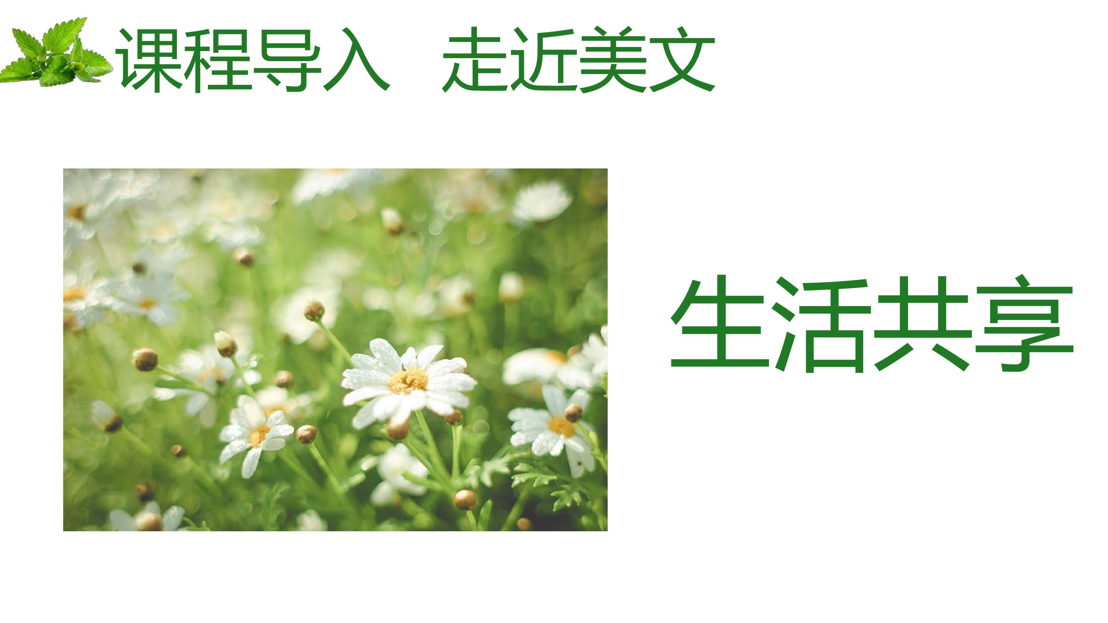 散步