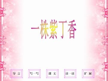 一株紫丁香_课件1