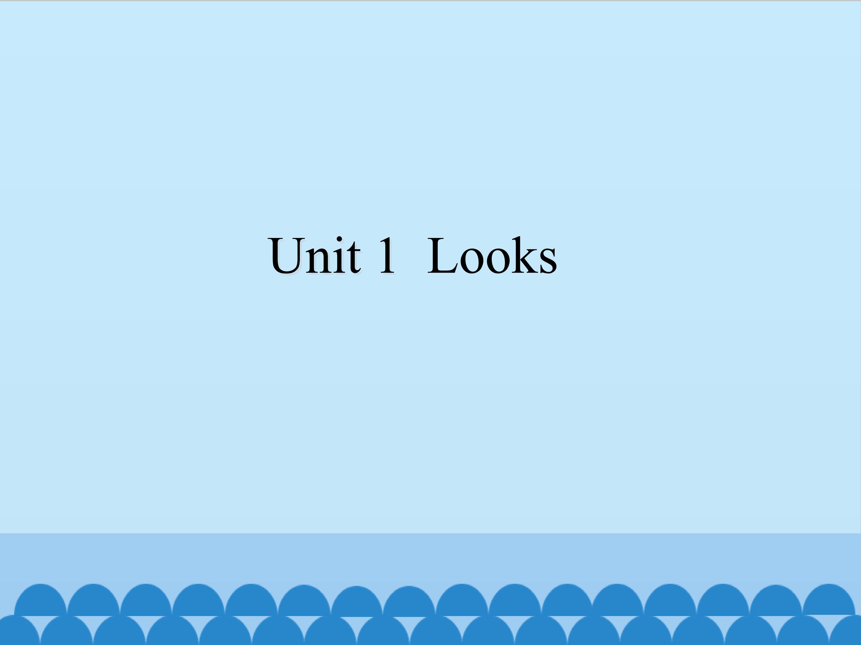 unit 1 Looks_课件1