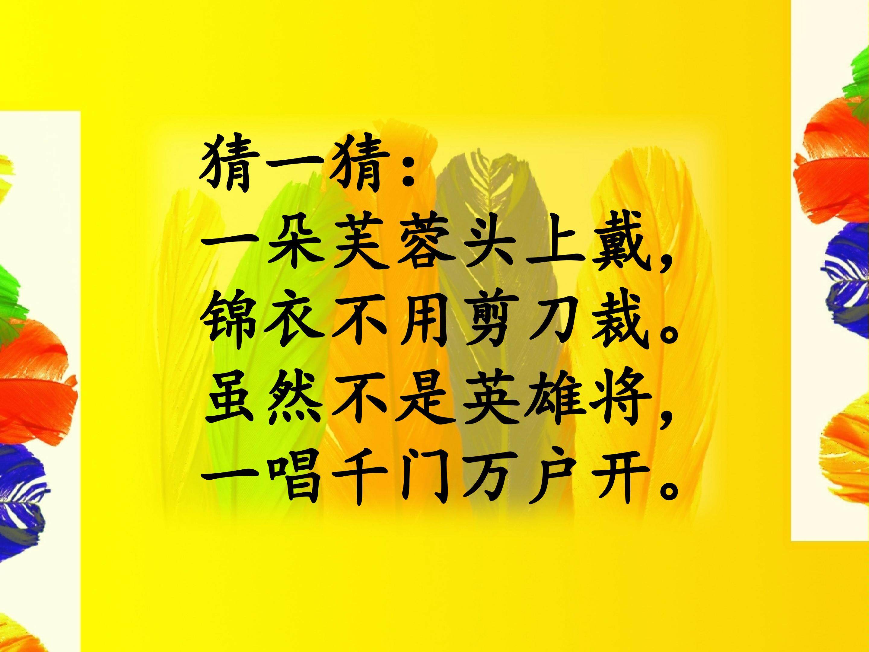艳丽的大公鸡