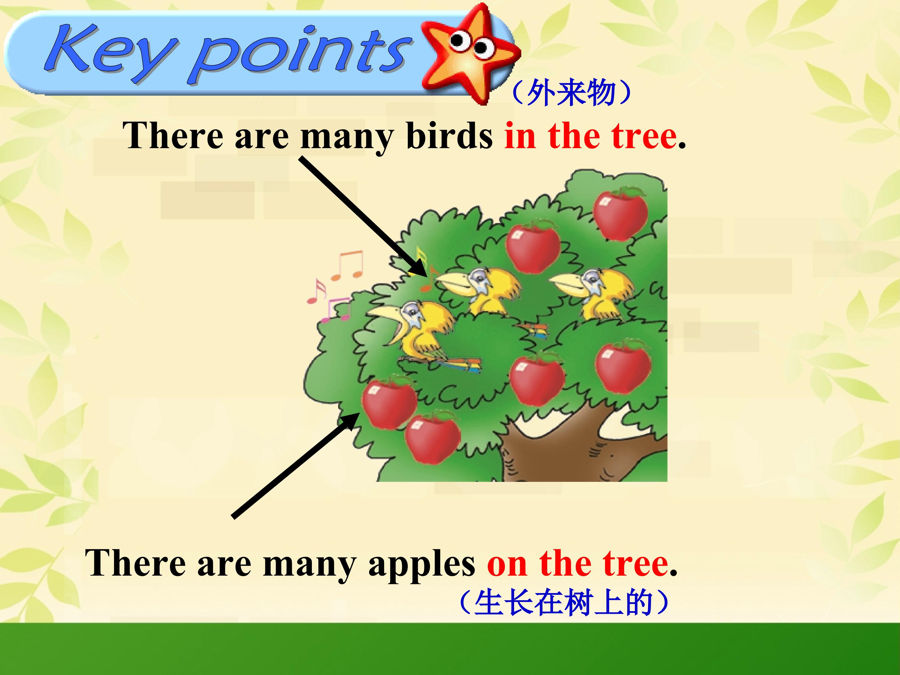 18.jpg
