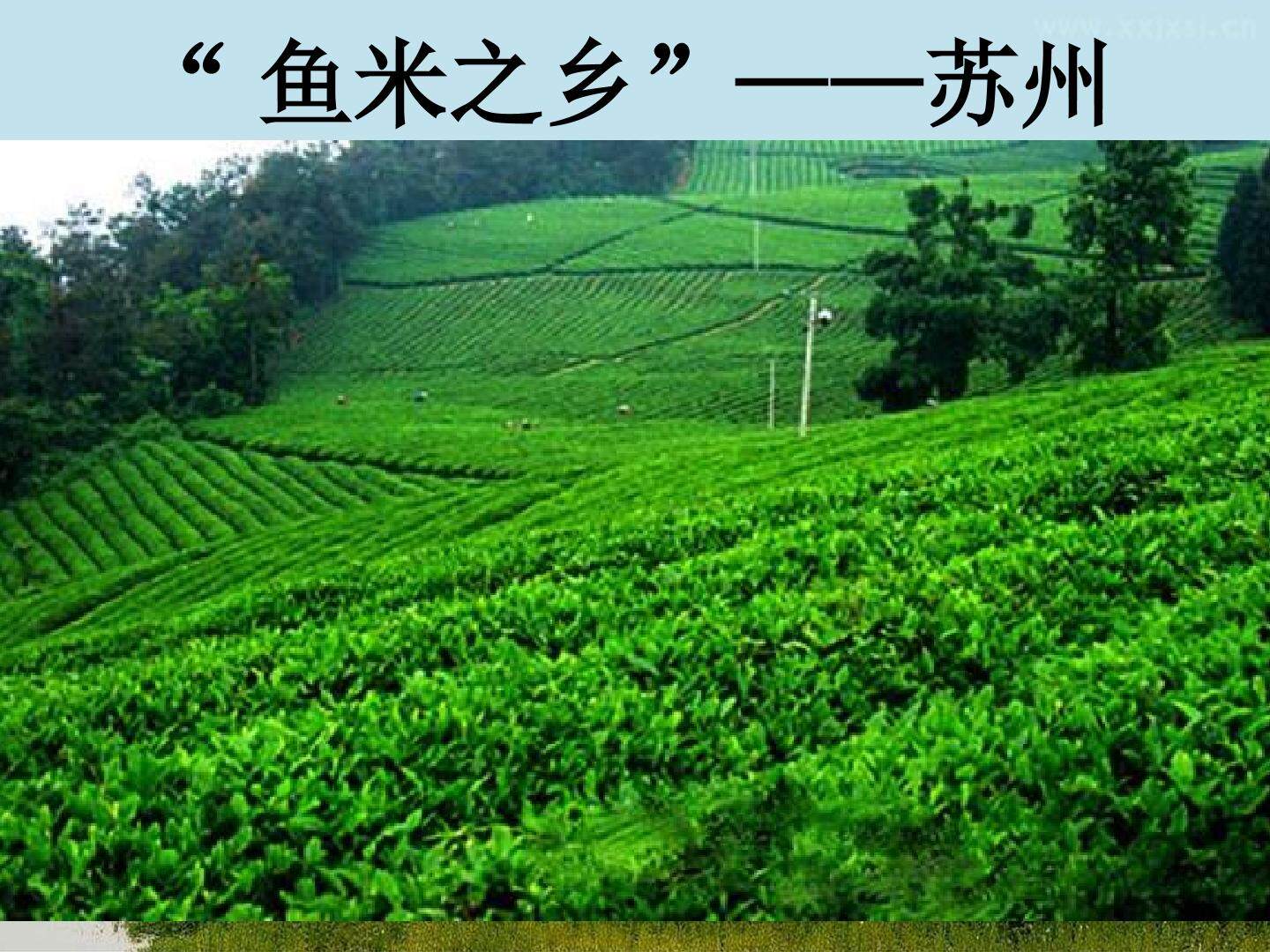 土壤中有什么
