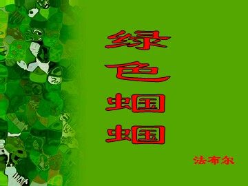 23 *绿色蝈蝈
